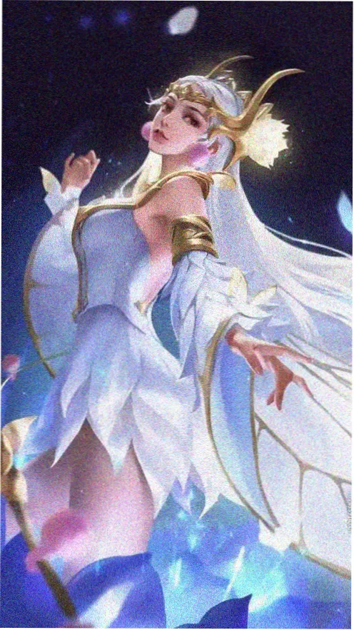 荒野厨房 综艺封面